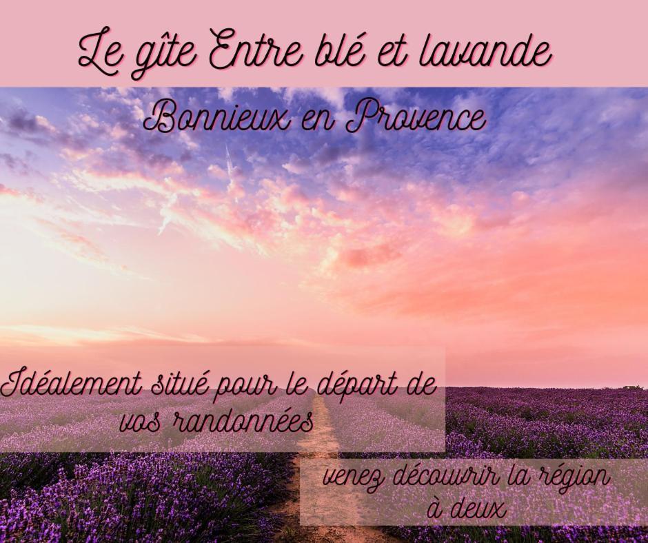 Entre Ble Et Lavande Apartment Bonnieux Luaran gambar